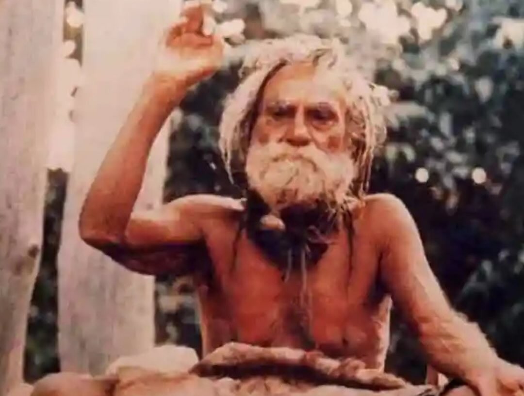 Sri DevRaha Baba portrait